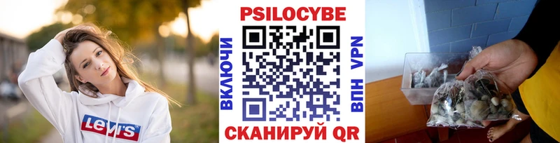 Купить  Сельцо  Галлюциногенные грибы Psilocybe 
