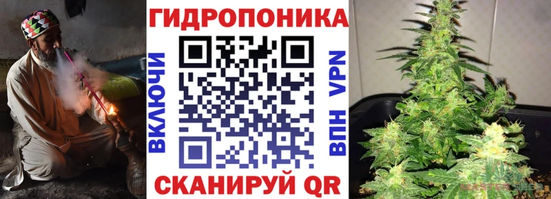 Каннабис ГИДРОПОН  Купить где  Сельцо 